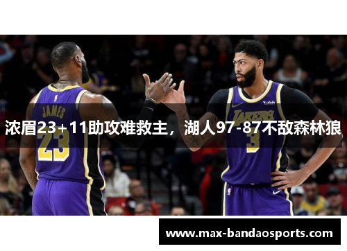 浓眉23+11助攻难救主，湖人97-87不敌森林狼