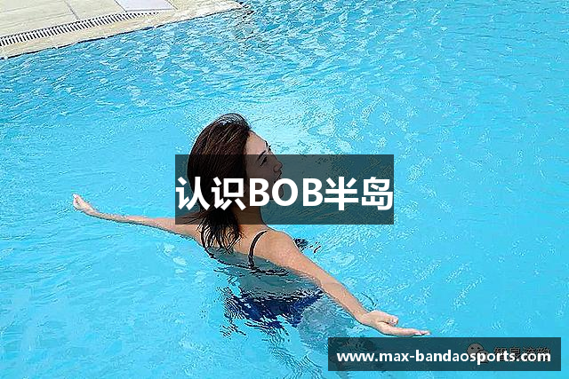 认识BOB半岛